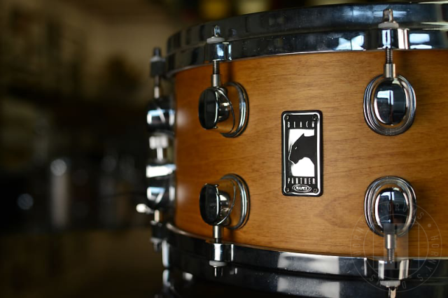 14"x6.5" Thomann Birch Special Edition. Photo - Horny's Drums
