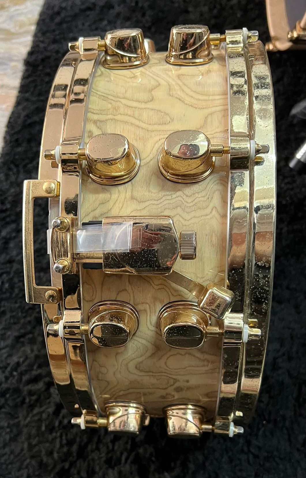 14"x5.5" Orion Antique Ivory Burlwood. Photo - Ilario Felicetti