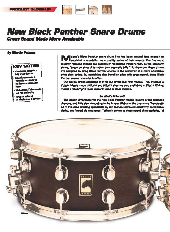 2006 Black Panther Snares Review