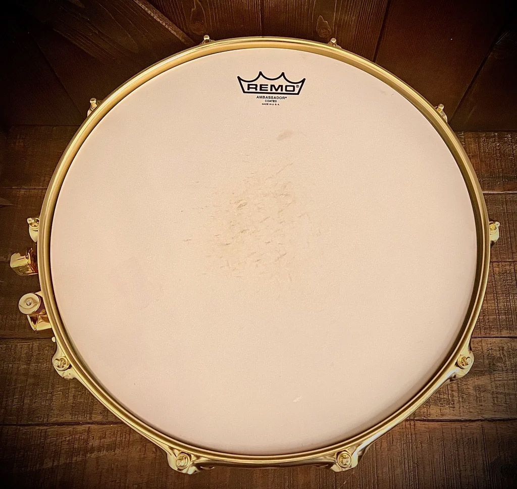 14"x5.5" Orion Transparent Amber. Photo - DrumPickers