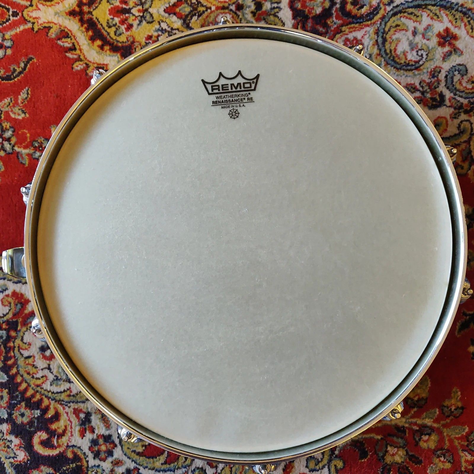 14"x5.5" Laser Canary. Photo - Rimocc'