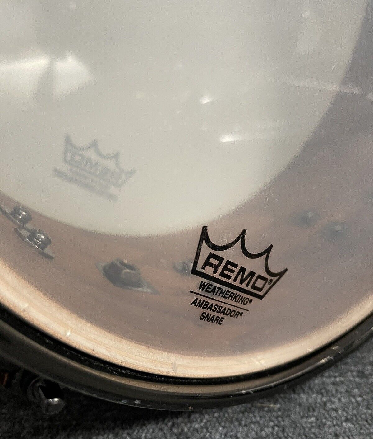 14"x5.5" Saturn SE Moss Green Fade. Photo - Into Music