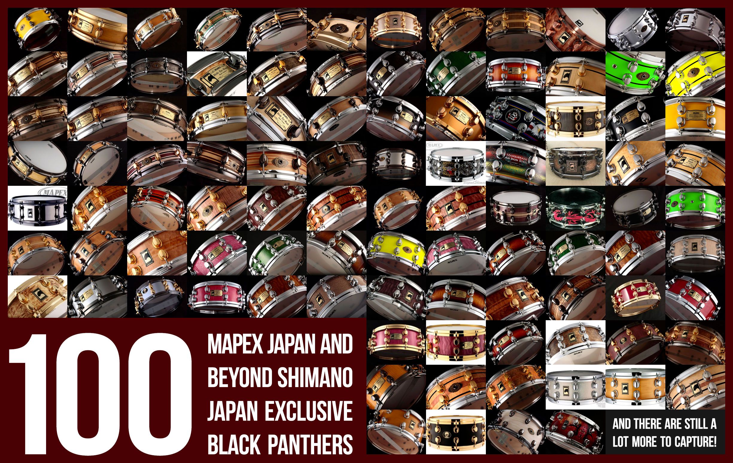 100th Japan Exclusive Black Panther Captured!